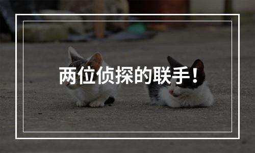 两位侦探的联手！