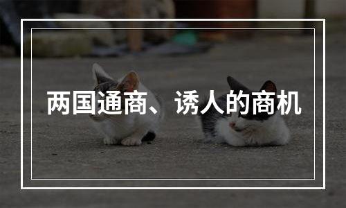 两国通商、诱人的商机