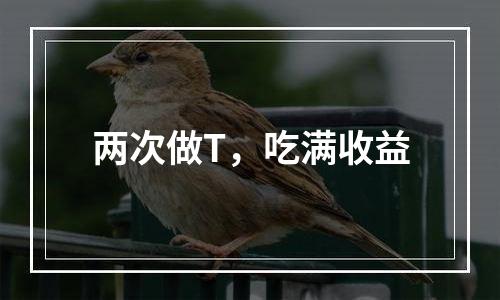 两次做T，吃满收益