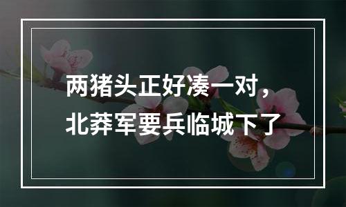 两猪头正好凑一对，北莽军要兵临城下了