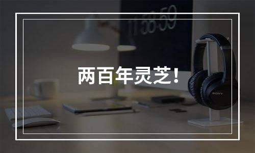 两百年灵芝！