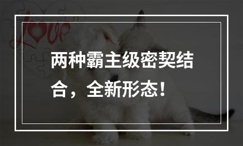 两种霸主级密契结合，全新形态！