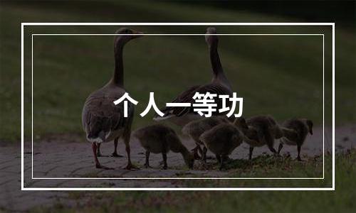 个人一等功