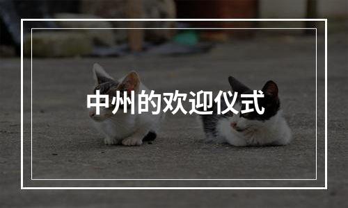 中州的欢迎仪式