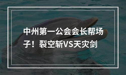 中州第一公会会长帮场子！裂空斩VS天灾剑