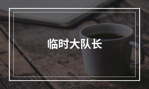 临时大队长