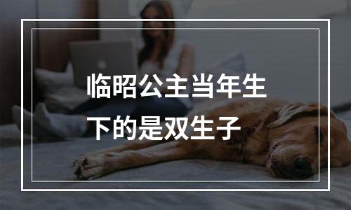 临昭公主当年生下的是双生子