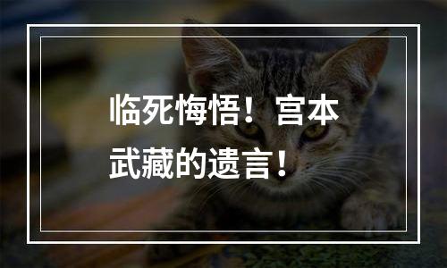 临死悔悟！宫本武藏的遗言！