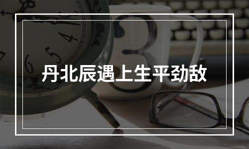 丹北辰遇上生平劲敌
