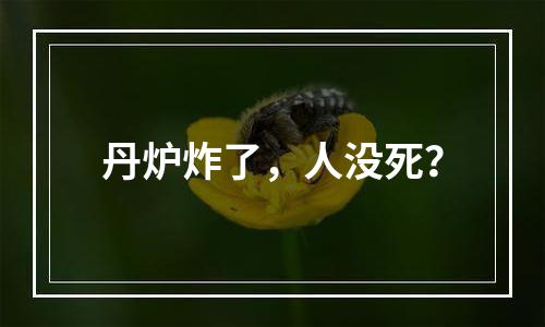 丹炉炸了，人没死？