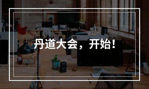 丹道大会，开始！