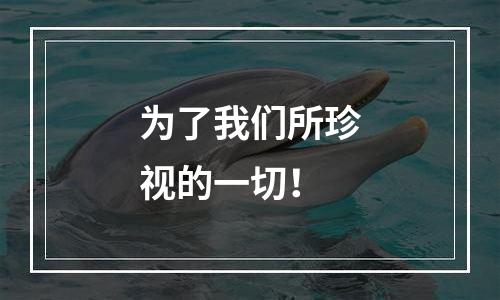 为了我们所珍视的一切！
