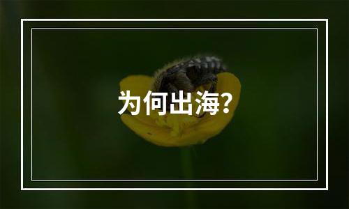 为何出海？