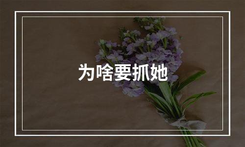 为啥要抓她
