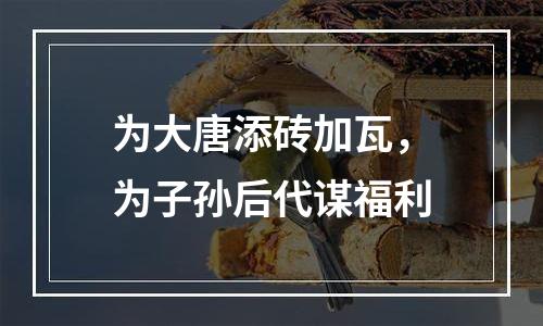 为大唐添砖加瓦，为子孙后代谋福利
