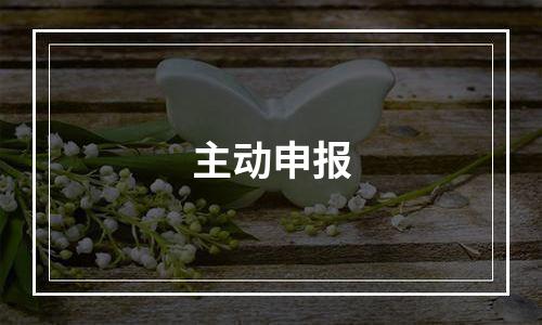主动申报