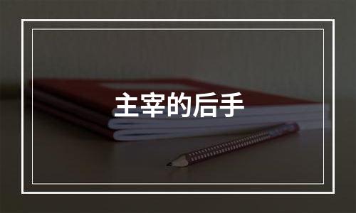 主宰的后手