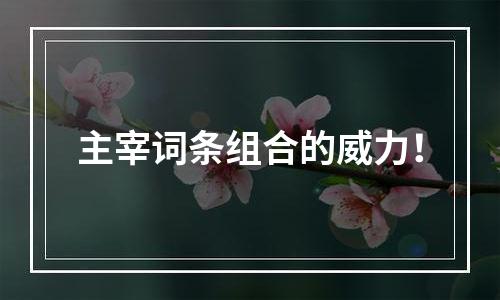 主宰词条组合的威力！