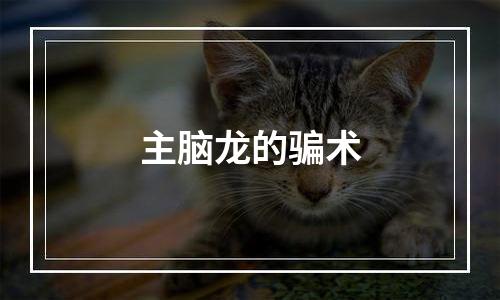 主脑龙的骗术