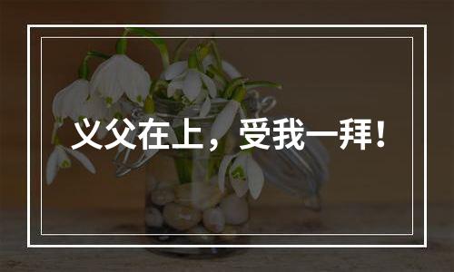义父在上，受我一拜！