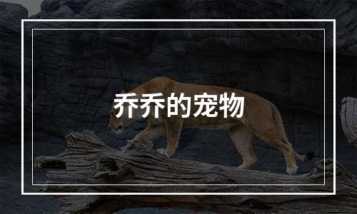 乔乔的宠物