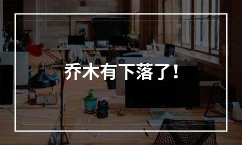 乔木有下落了！