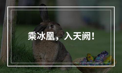 乘冰凰，入天阙！