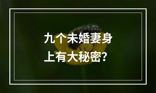 九个未婚妻身上有大秘密？