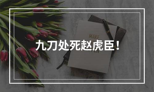 九刀处死赵虎臣！