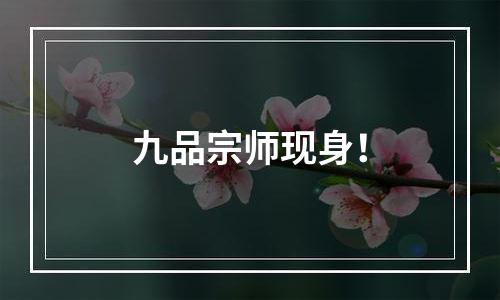 九品宗师现身！