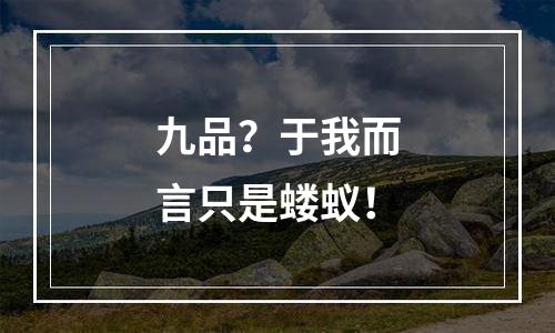 九品？于我而言只是蝼蚁！
