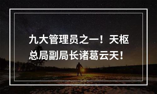 九大管理员之一！天枢总局副局长诸葛云天！