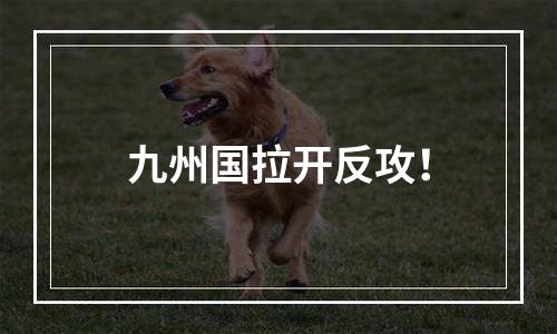 九州国拉开反攻！