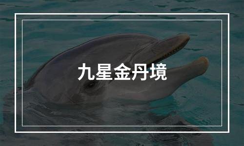 九星金丹境
