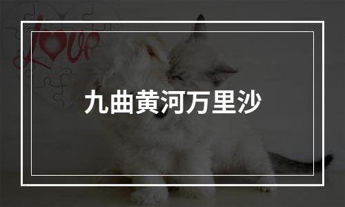 九曲黄河万里沙