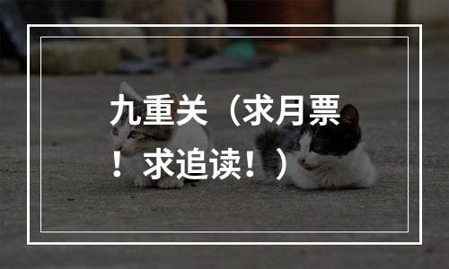 九重关（求月票！求追读！）