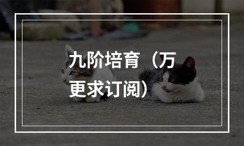 九阶培育（万更求订阅）
