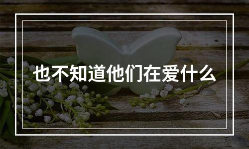 也不知道他们在爱什么