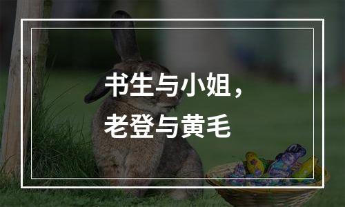 书生与小姐，老登与黄毛