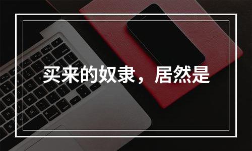 买来的奴隶，居然是
