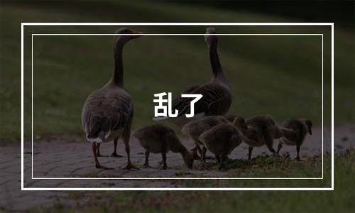乱了