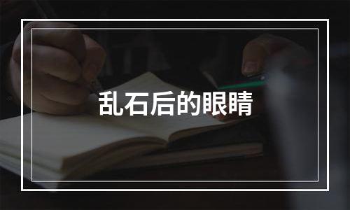 乱石后的眼睛