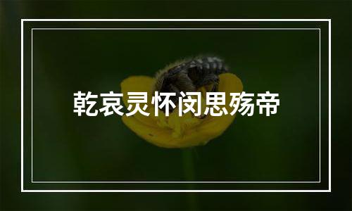 乾哀灵怀闵思殇帝