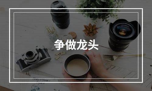争做龙头