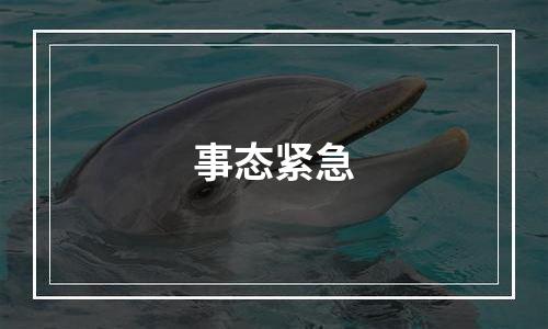 事态紧急