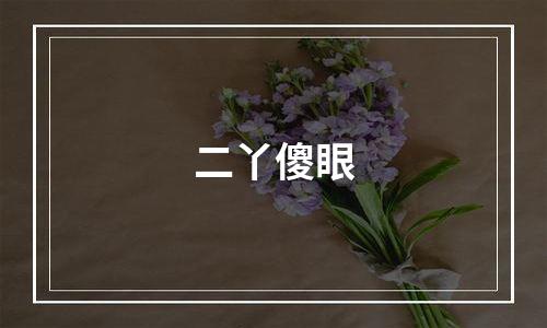 二丫傻眼