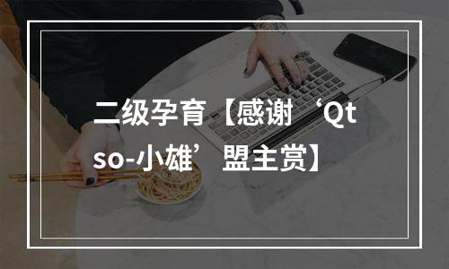 二级孕育【感谢‘Qtso-小雄’盟主赏】