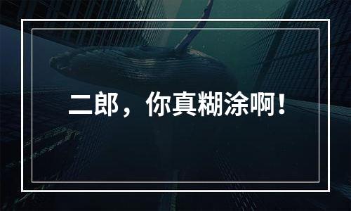 二郎，你真糊涂啊！