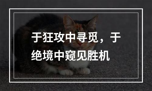 于狂攻中寻觅，于绝境中窥见胜机