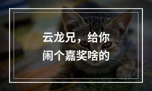 云龙兄，给你闹个嘉奖啥的